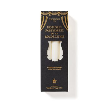 Scented Madeleine Candles | Fir